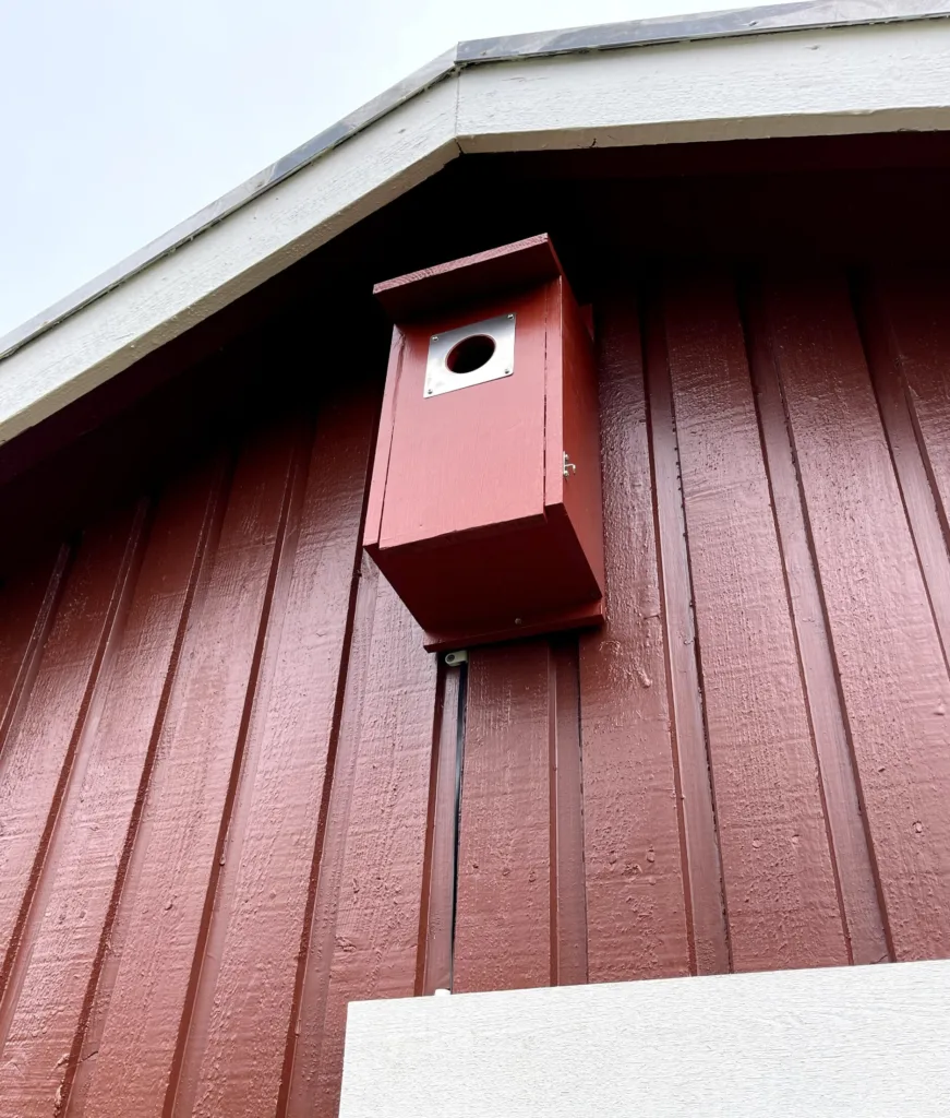 The finished birdhouse mounted in the garden